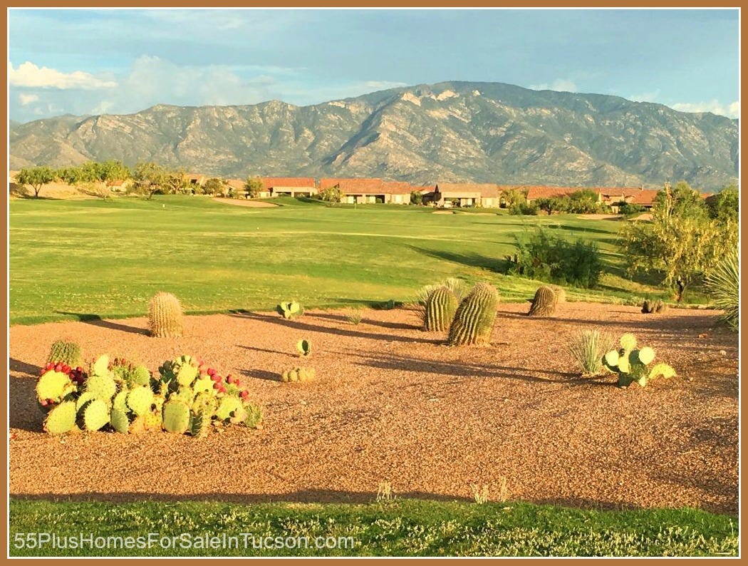 Homes for Sale in The Preserve at Saddlebrooke AZ Living in Luxury