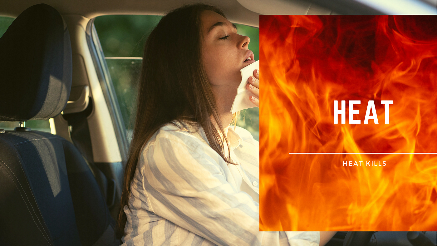 HEAT A PERSONAL HISTORY. Heat Kills by Rajiv Chopra Life, Our