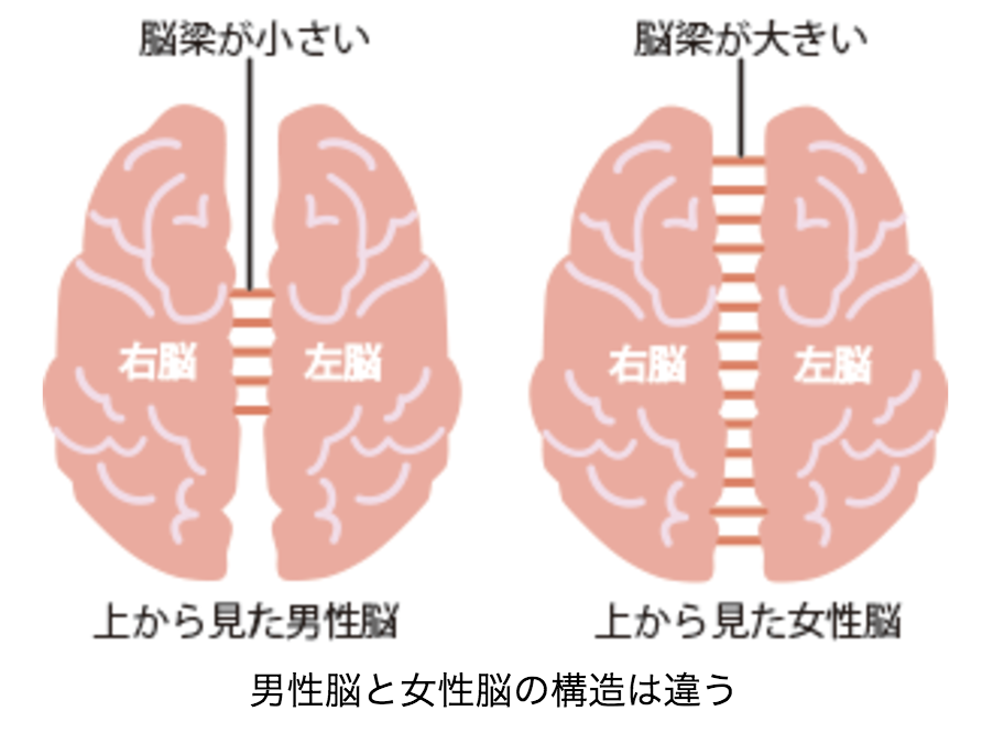男女脳 の違い なぜここまですれ違うのか 人間と人工知能 By 里 優裕 Ysuke Sato Sales Technology Lab 男女脳 の違い なぜここまですれ違うのか 人間と人工知能 By 里 優裕 Ysuke Sato Sales Technology Lab