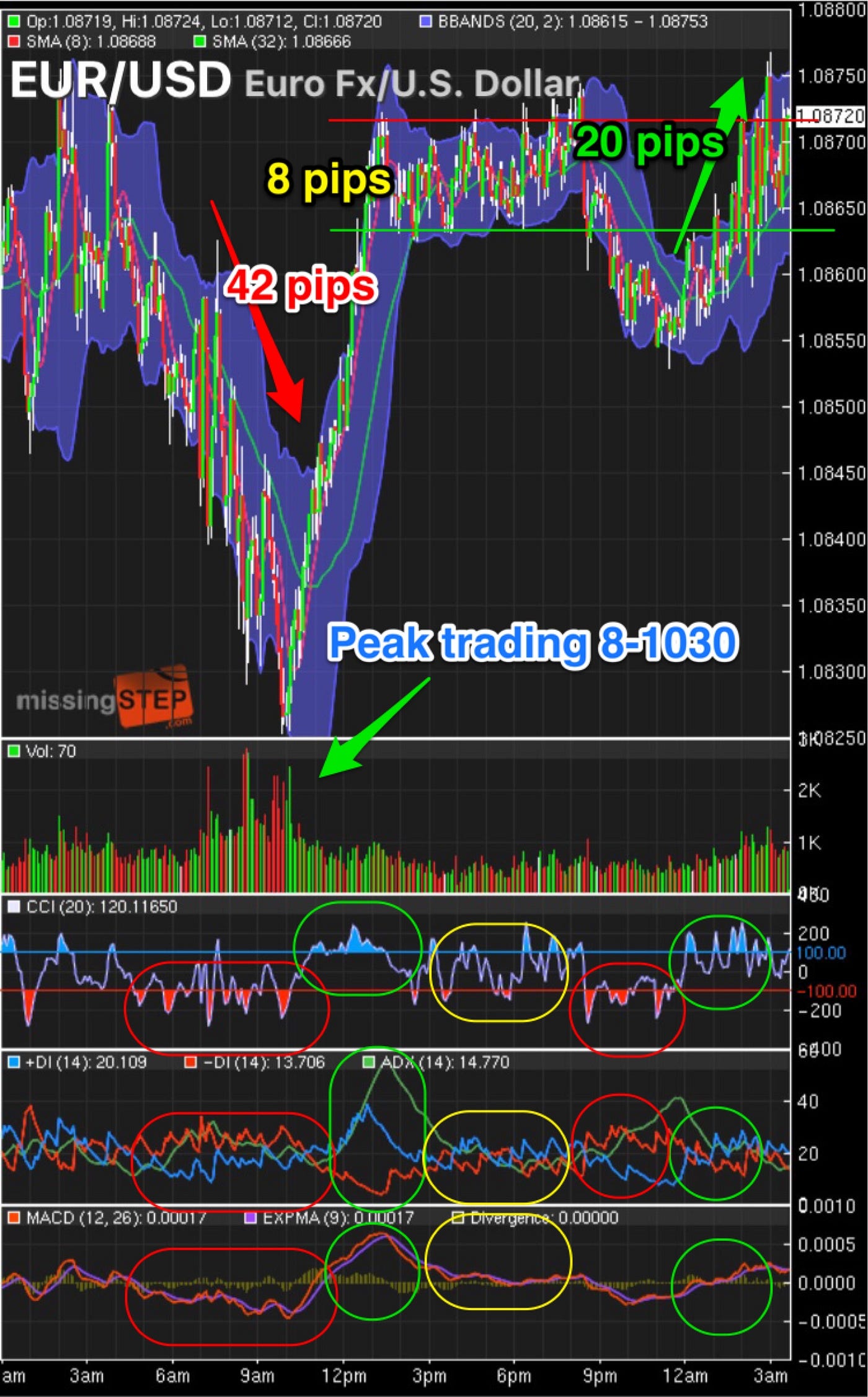 Forex Ta Eur Usd Thomas Mann Medium - 