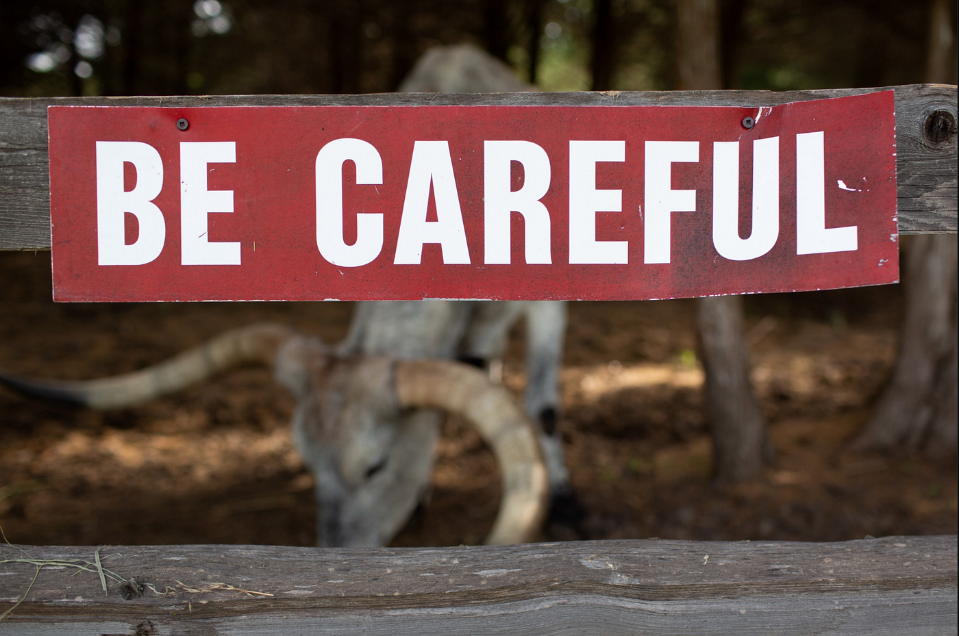 If You Really Must Use Distinct…. | by Joao Marques @ Data Beyond Ltd |  Level Up Coding