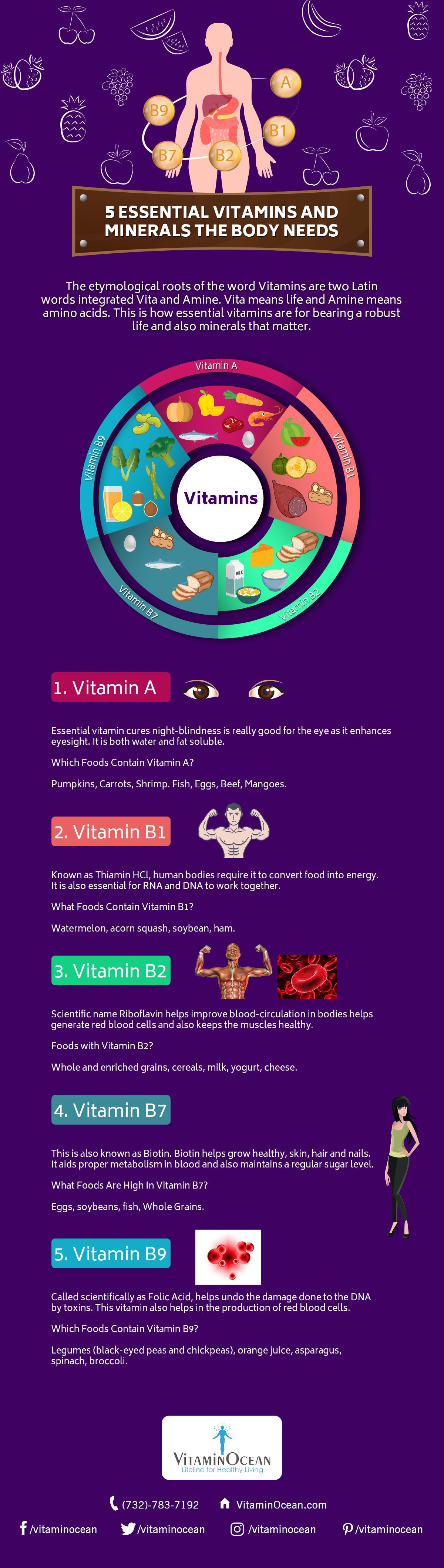 5-essential-vitamins-and-minerals-the-body-needs-by-vitaminocean-medium