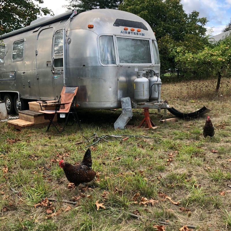 vintage Airstream trailer with chickens running around