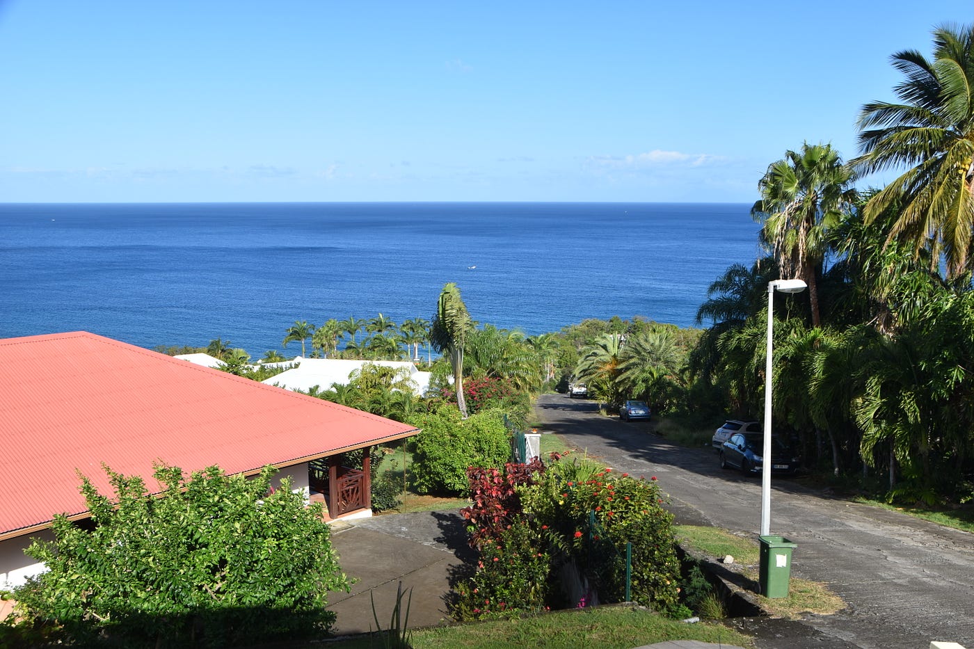Guadeloupe, the butterfly island stole our hearts EduSciTech Medium