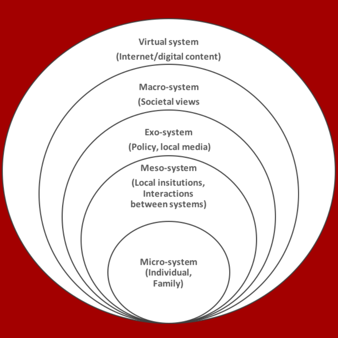 Concept 3 Spheres of influence (SEM 2.0) by Karen P. Greiner The