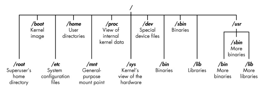 The Linux file structure