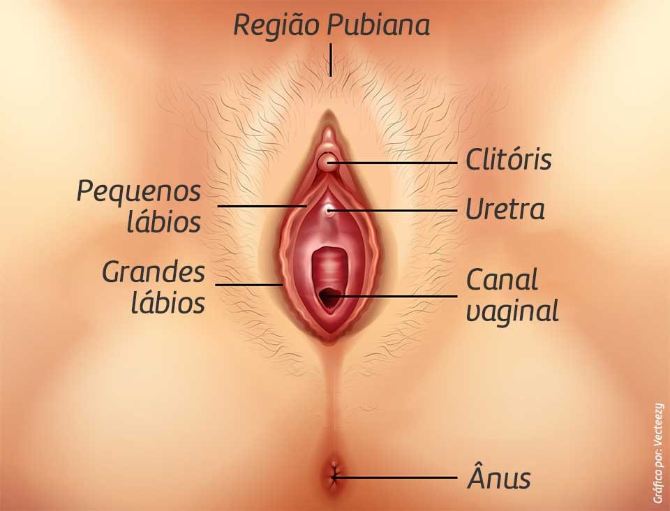 Mulheres com coxas gostosas Como fazer um sexo gostoso passo a passo