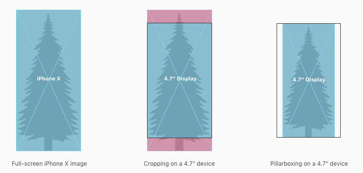 Iphone X Ui Guidelines Screen Details And Layout By Dsgnrs Team Dsgnrs Medium