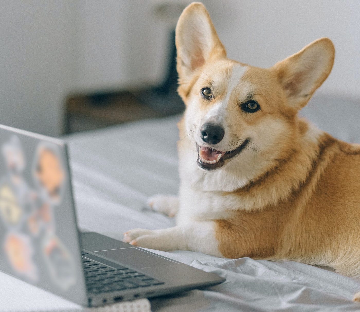 Python Milestones: Basic, Intermediate, Advanced, and Expert | by ...