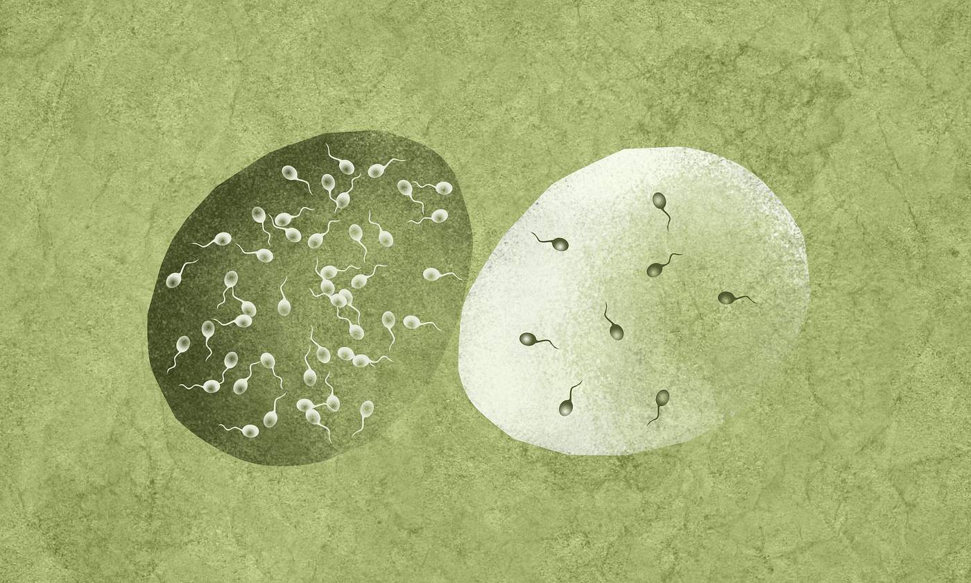 What Is A Normal Sperm Count By Mohammad Abbasi By Episona Medium