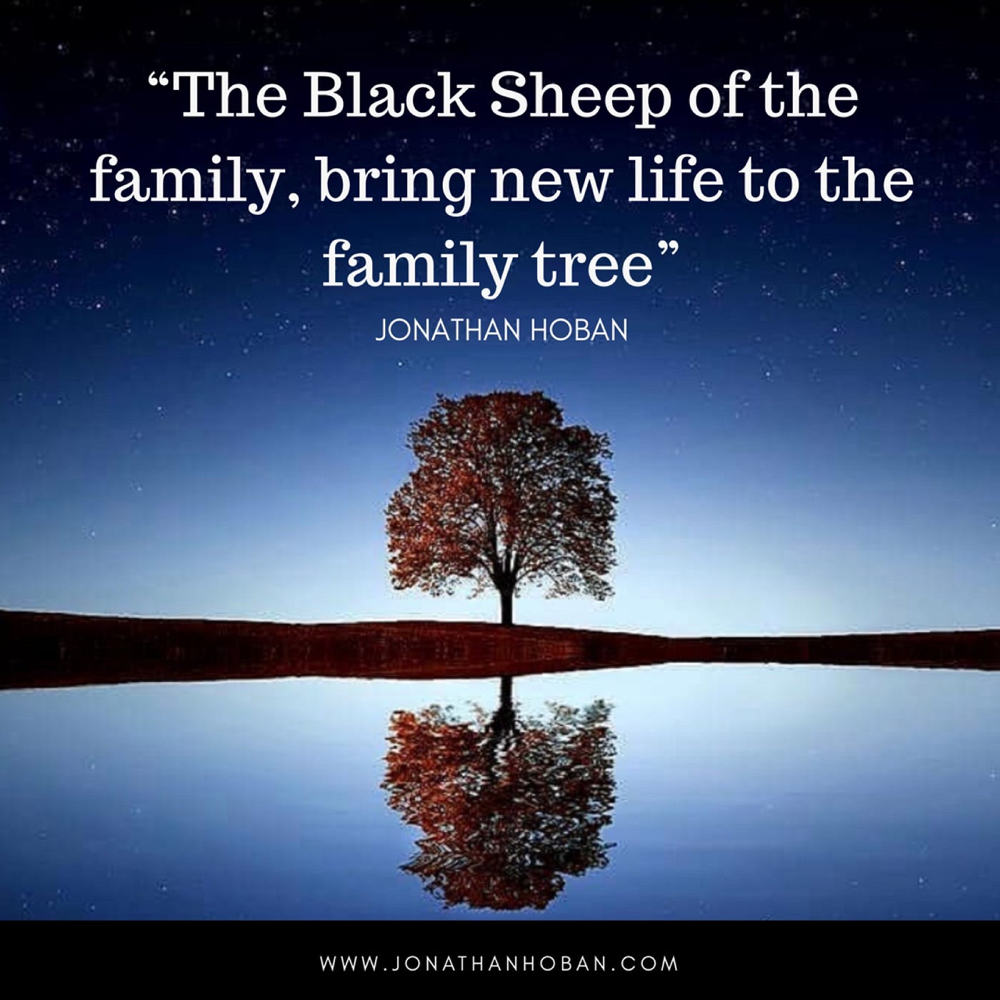 The Black Sheep Of The Family Tree – Embrace Them, Don't Shame Them | By Jonathan Hoban | Medium