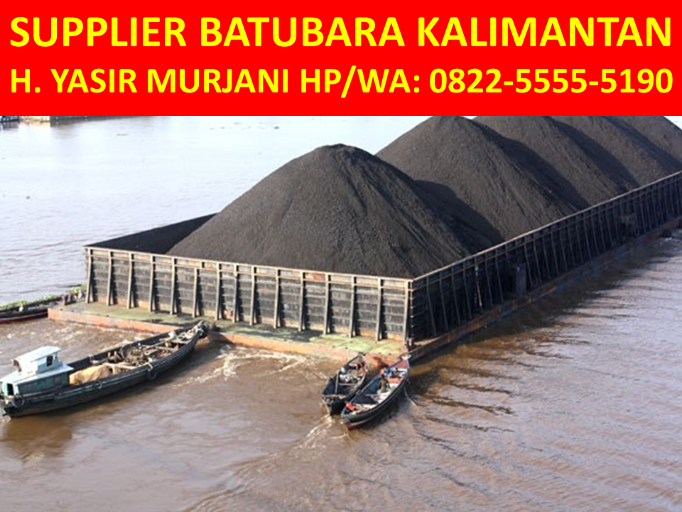 0822–5555–5190 (WA / TSel), Pelabuhan Batubara Di Kalimantan Tengah