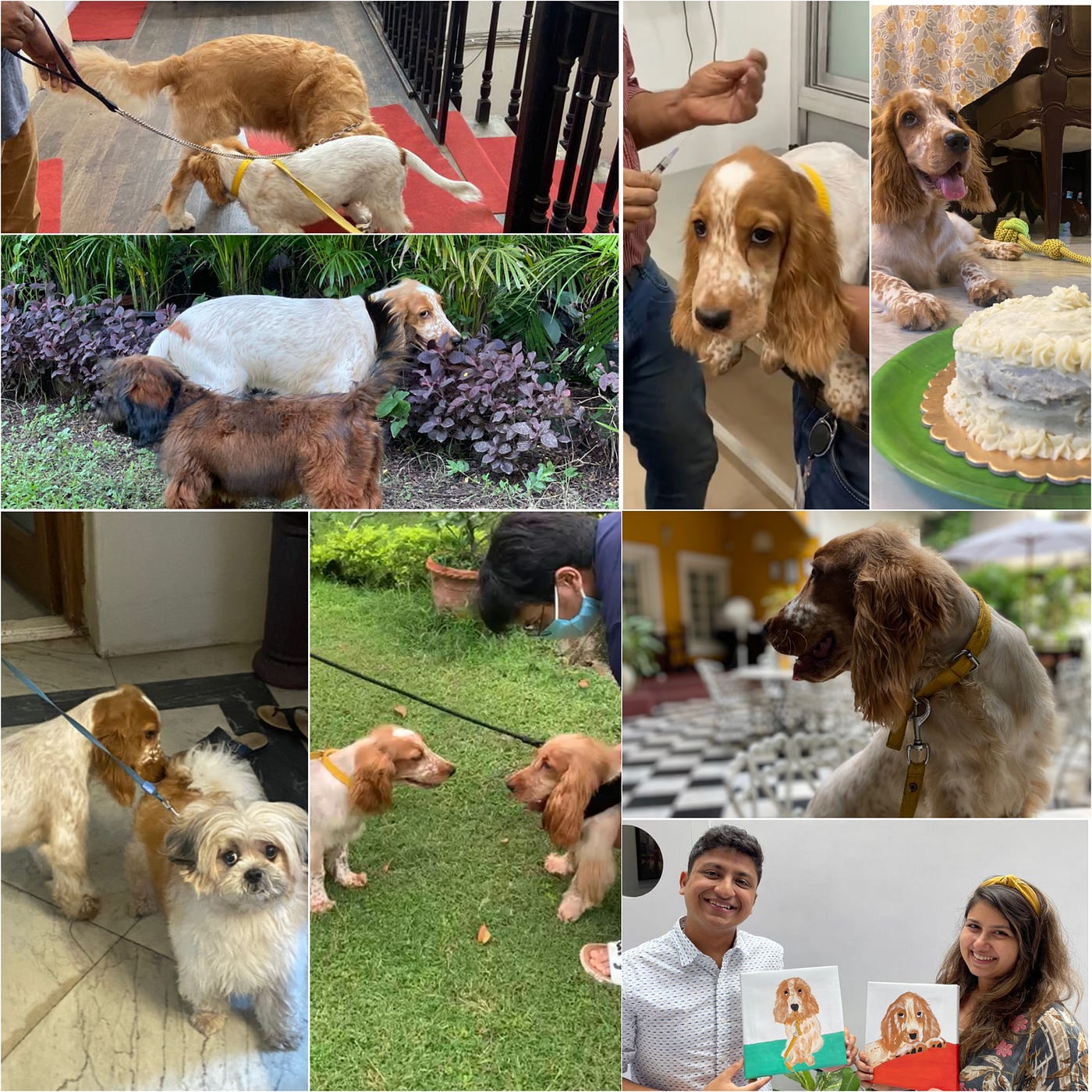 Left section: Bailey and his friends; Right section: Bailey getting a jab, celebrating 4 months, his first cafe visit at Roastery Kolkata, and siblings making his portrait