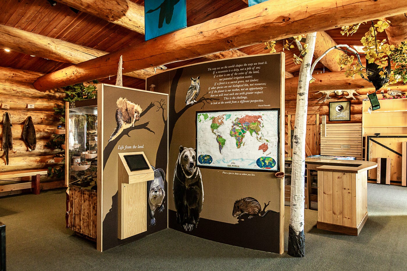inside the Tetlin visitor center showing log cabin interior and interpretive panels