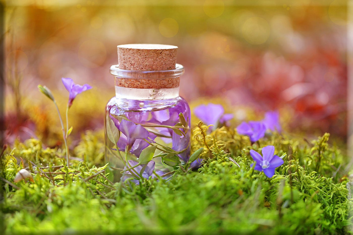 Flowers in a bottle in a field of purple blossoms