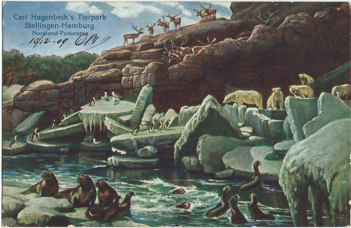 Todas Las Criaturas Grandes Y Pequeñas Serie Wikipedia Matar ratas y admirar pavorreales: ¿Deben existir todavía los zoológicos? |  by FOROtv | Opinión con Foro | Medium