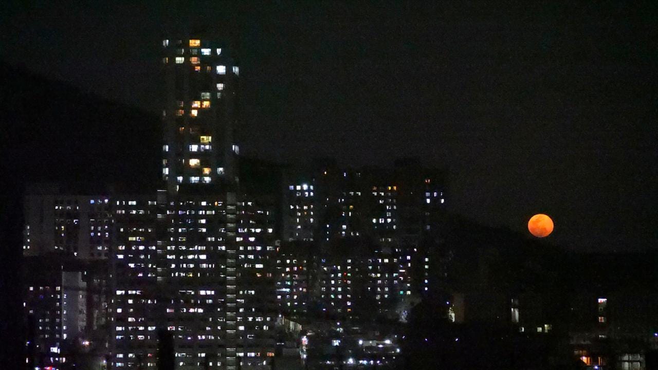 What will happen in 100 years?. Musings and wishful thinking. List of