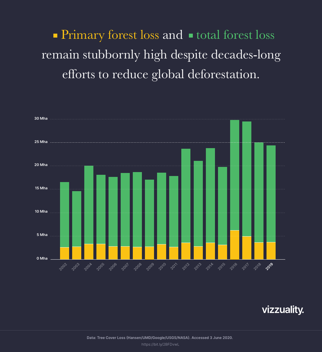 Bolivia Burned While The World Watched Brazil By Camellia Williams Vizzuality Blog Medium Bolivia Burned While The World Watched Brazil By Camellia Williams Vizzuality Blog Medium