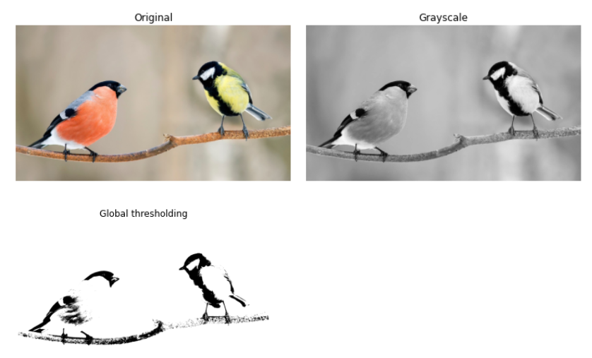 Image Processing Made Simple using Python | by Shreyas Anand | Oct ...