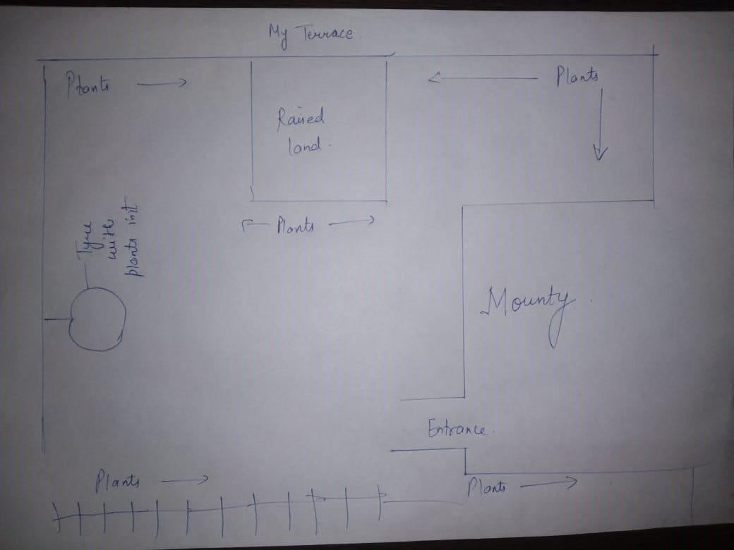 An outline of my terrace garden