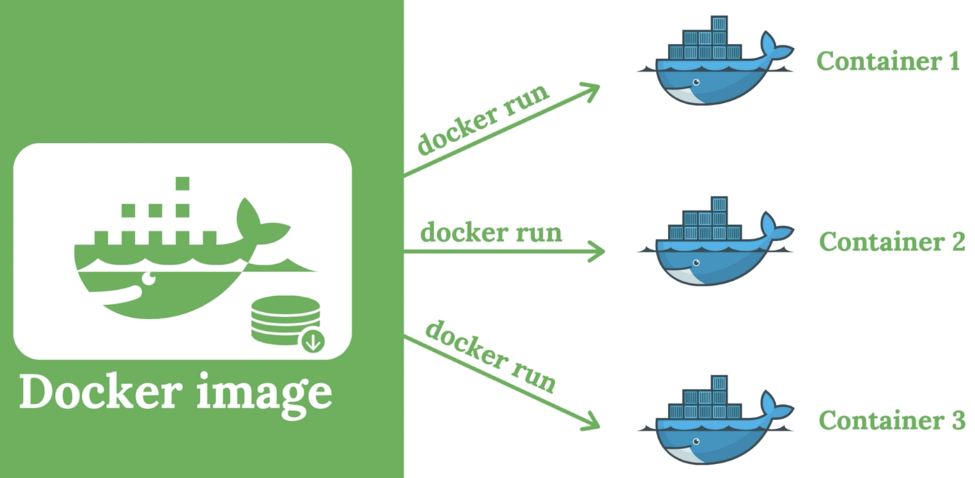Fooling around with Docker CLI commands with PostgreSQL image | TO THE NEW  Blog