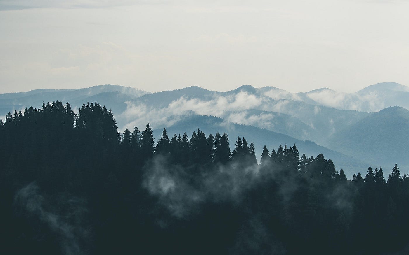 A shadowed forest shoruded in mist with tall, wide black hills in the background.