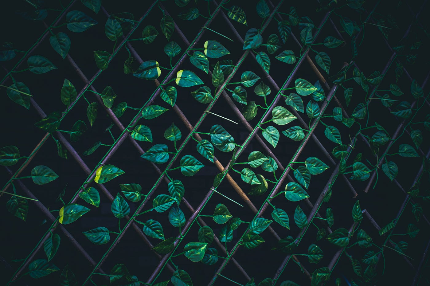 Crypto Bake-Off — The FINAL! — And It's a Lattice Bake in The Lead | by  Prof Bill Buchanan OBE | ASecuritySite: When Bob Met Alice | Medium