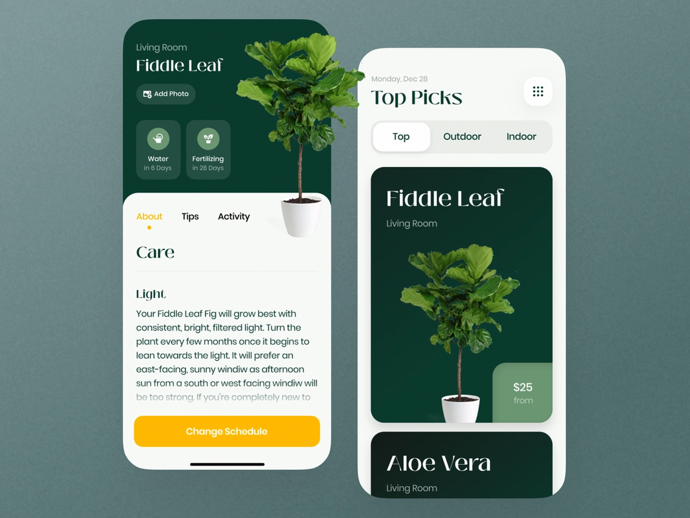 Fiddle leaf product page.