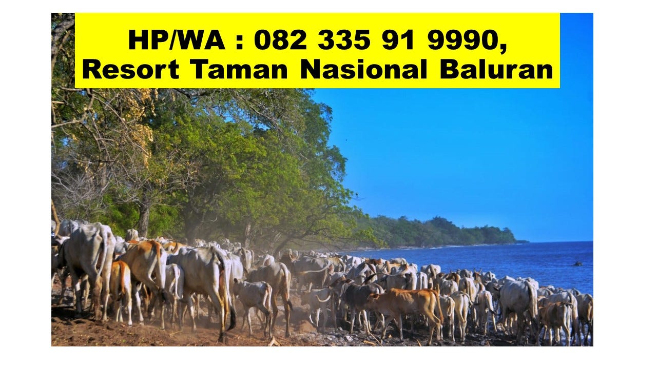 Paling Seru Hpwa 082 335 91 9990 Obyek Wisata Taman