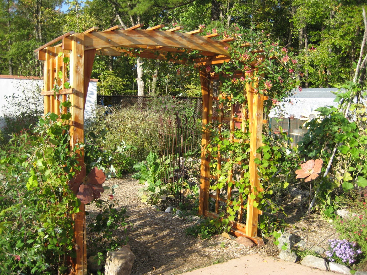 Is Pressure treated wood good for gardening? by Aparna Sharma Medium