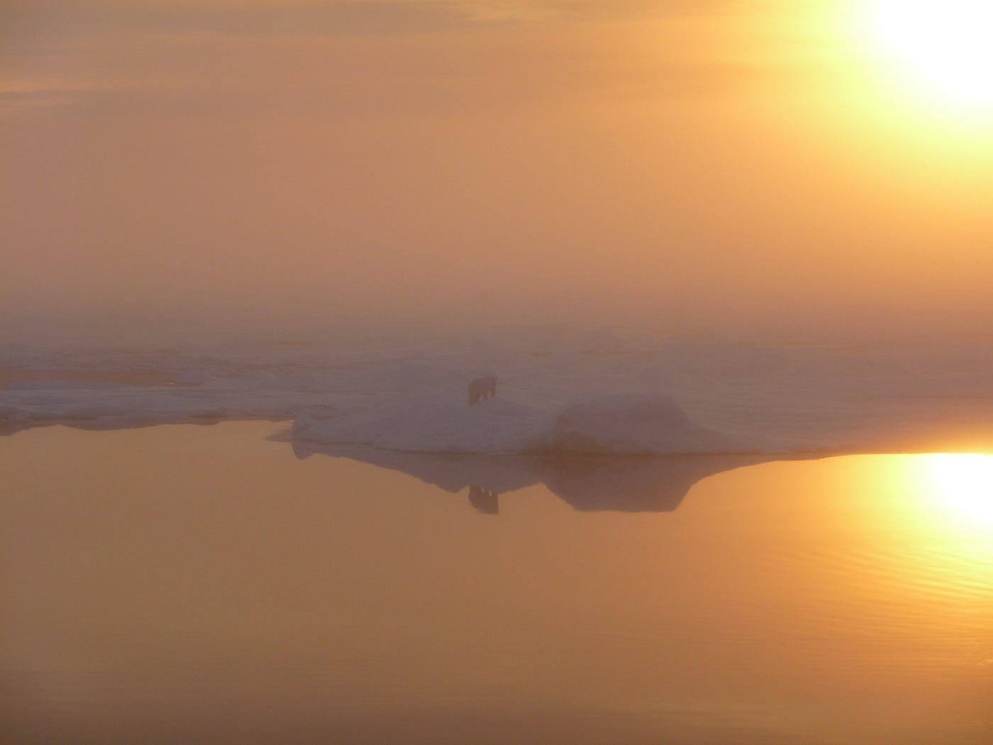 Orange sunlight in the fog reflects off of water and ice. A polar bear silhouette stands at the edge of the water.