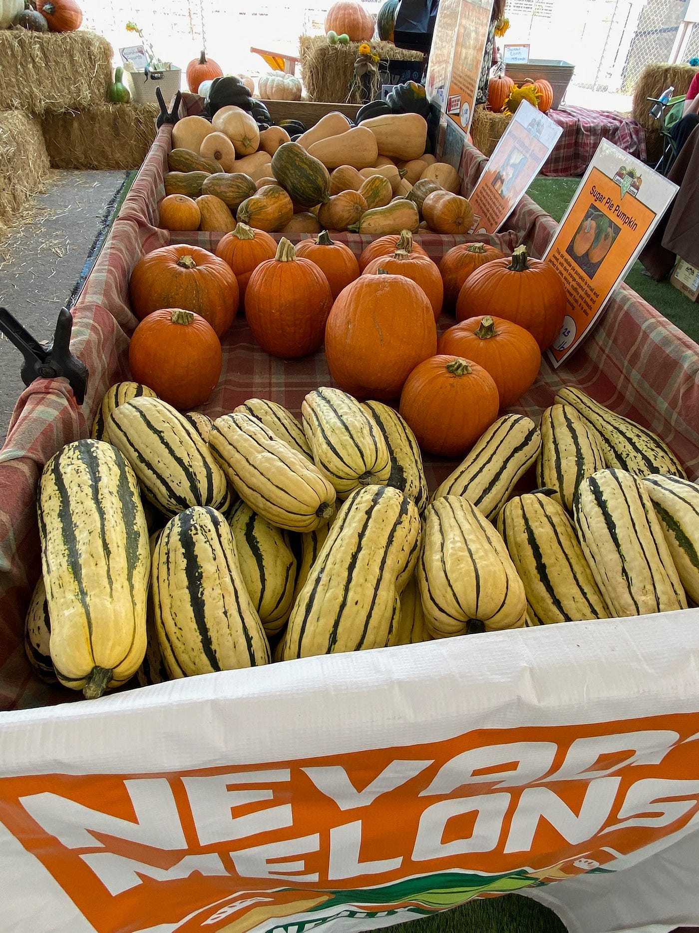 The Fallon Cantaloupe Festival. Churchill County Fairgrounds, Fallon
