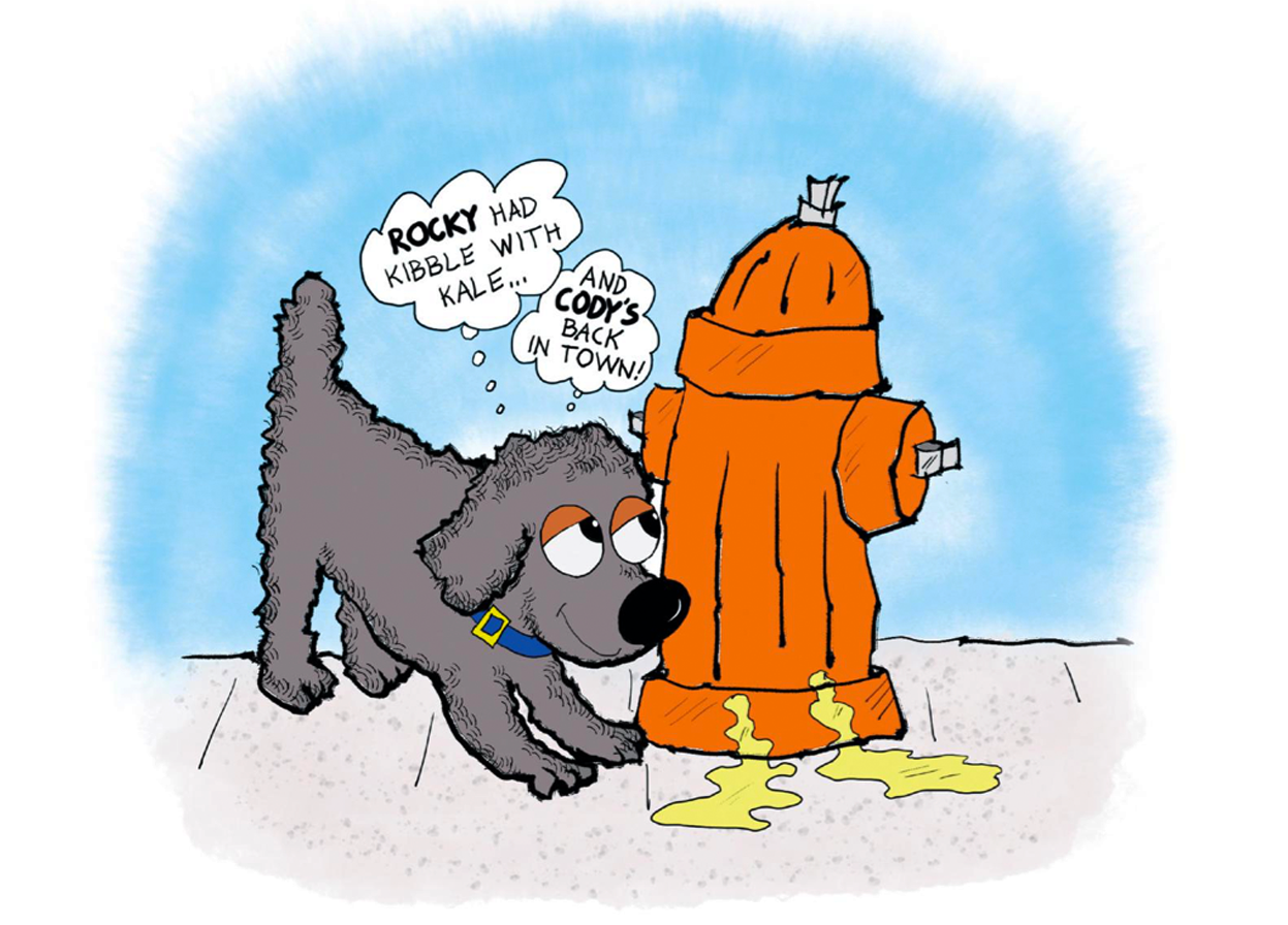 Why Do Dogs Like To Pee On Fire Hydrants