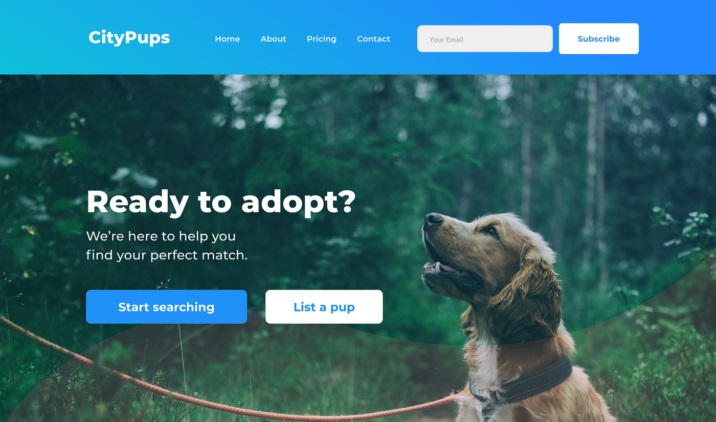 What Is The Dog Adoption Process
