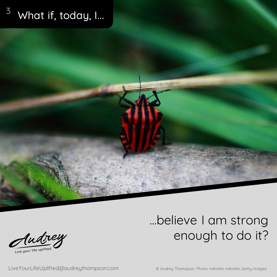 Small red-and-black striped beetle is pushing up on a twig. Words: What if today I believe I am strong enough to do it?