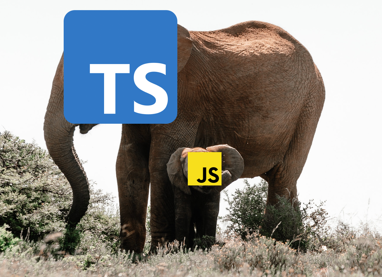 Advanced TypeScript With Code Challenges: Class Decorators | JavaScript in  Plain English