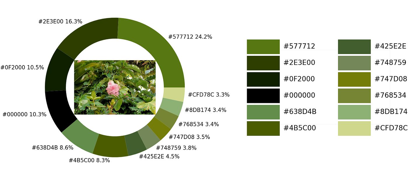 Image Color Extraction with Python in 4 Steps | by Boriharn K | Towards  Data Science