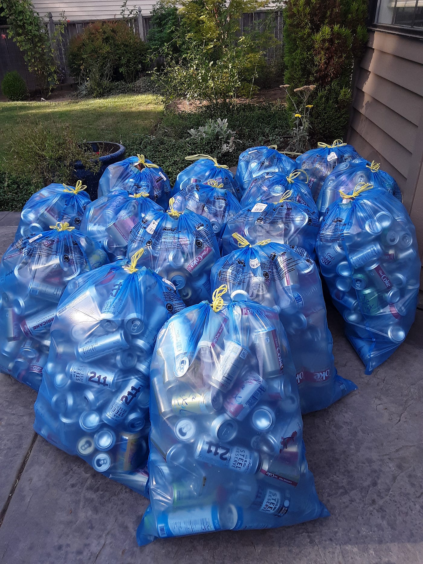 Micah Collamer Medium