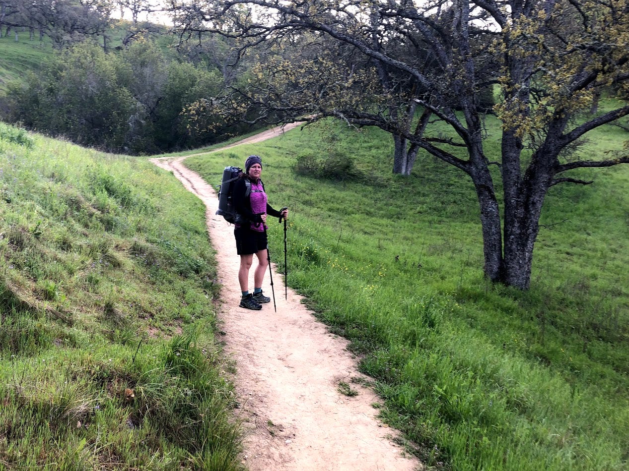ohlone wilderness trail