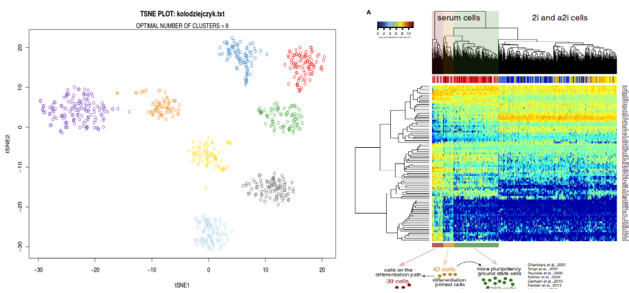 How to cluster in High Dimensions | by Nikolay Oskolkov | Towards Data  Science