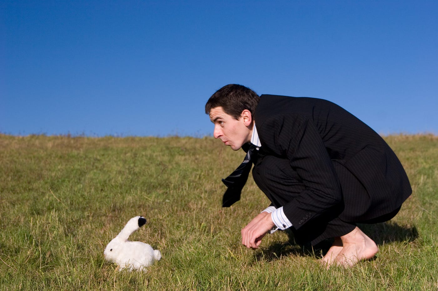 In sales, are you chasing too many rabbits? | by Don Lee | Sales and ...