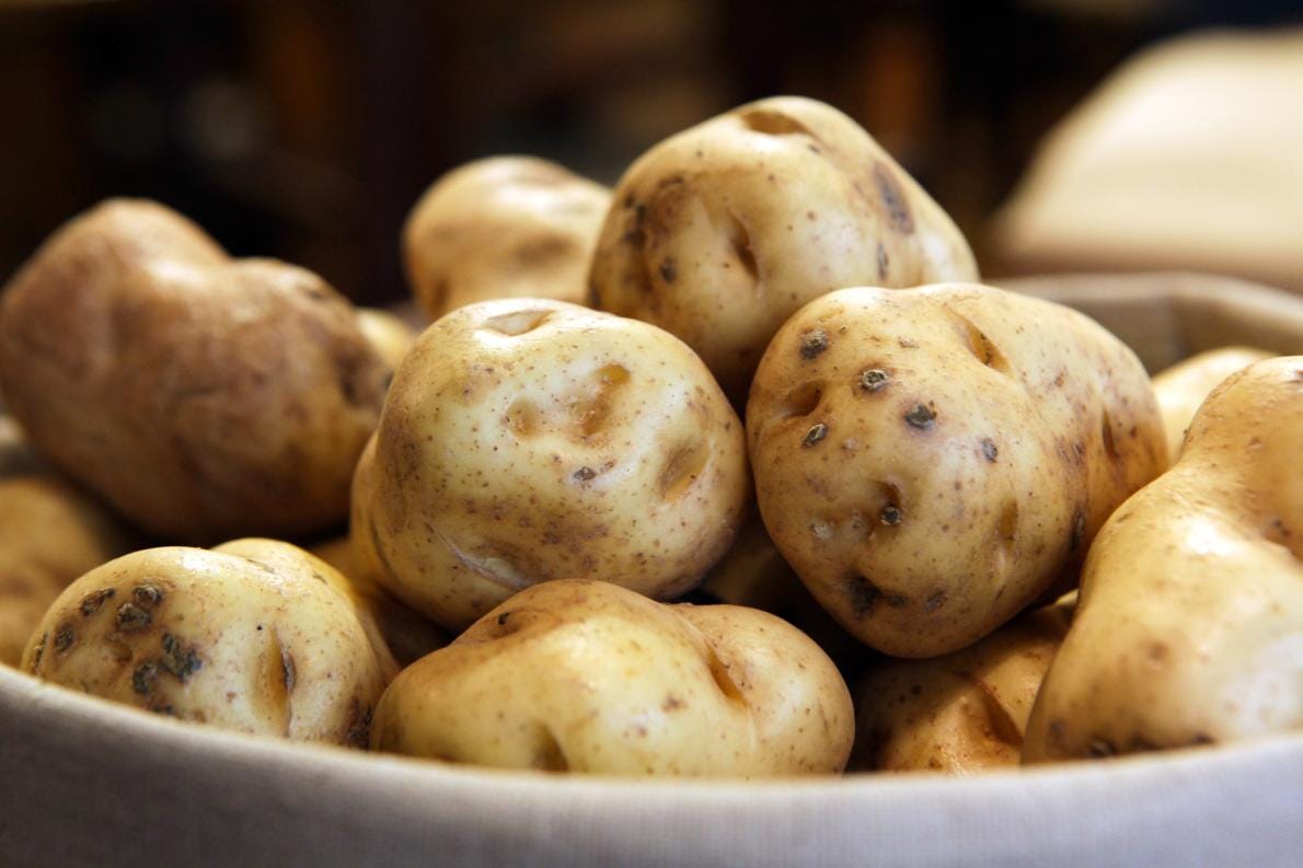 The Irish Potato Famine Wasn't Caused By A Fungus | by Kevin Jackson |  OMGFacts | Medium