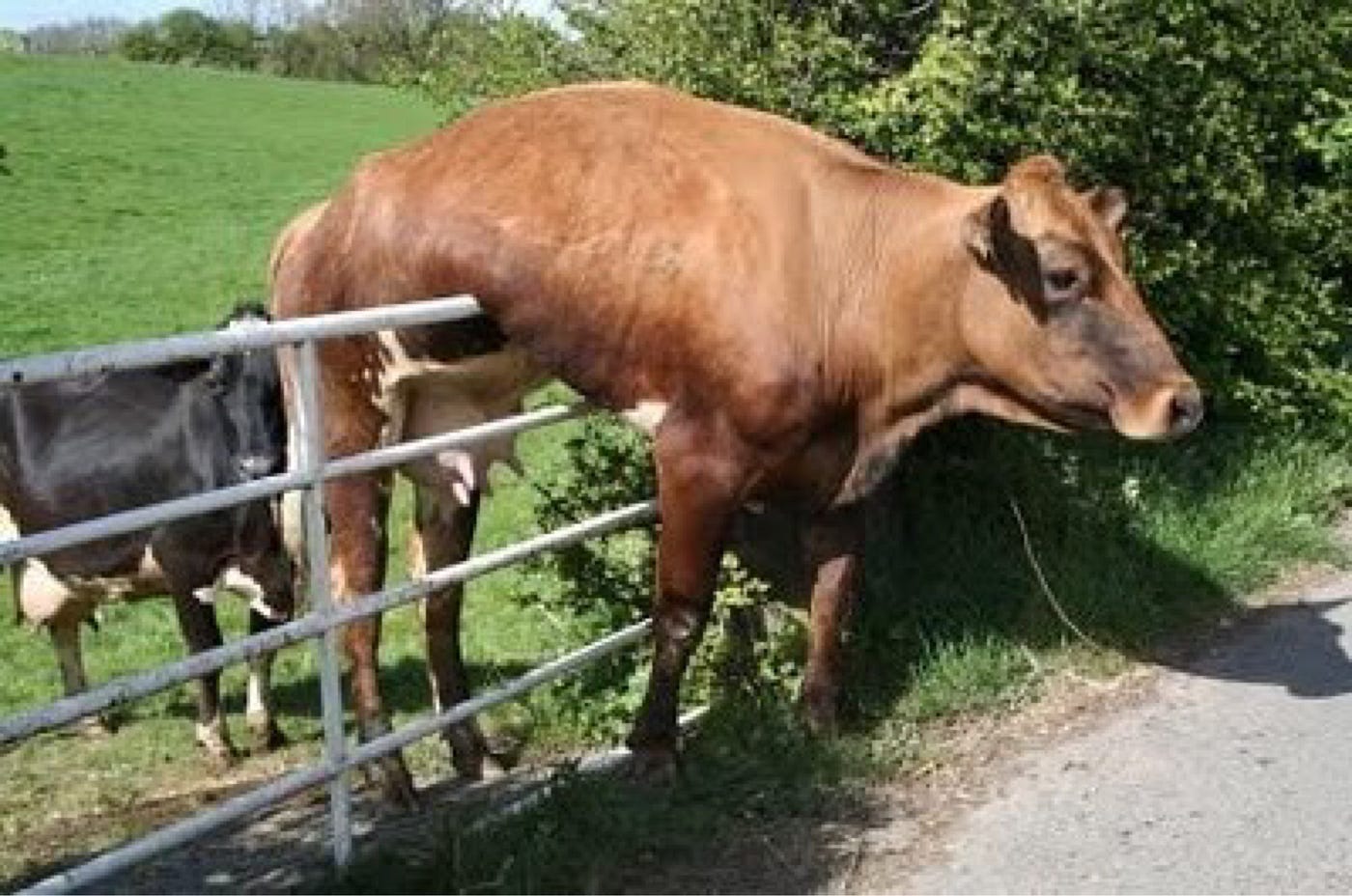 Jumping The Fence Swapping The Shop Floor For A Seat At The Table