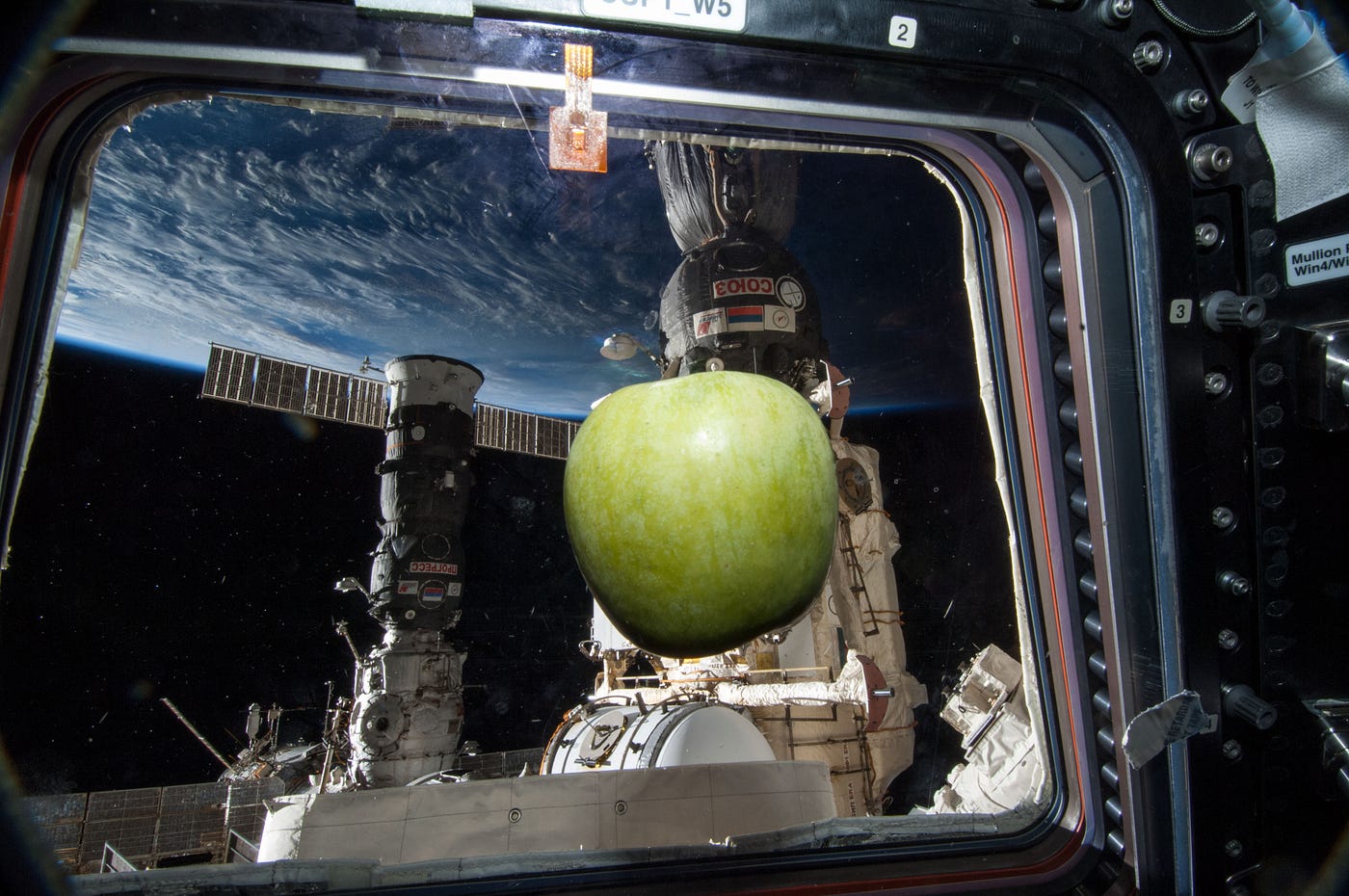 apple floating in low earth orbit aboard international space station