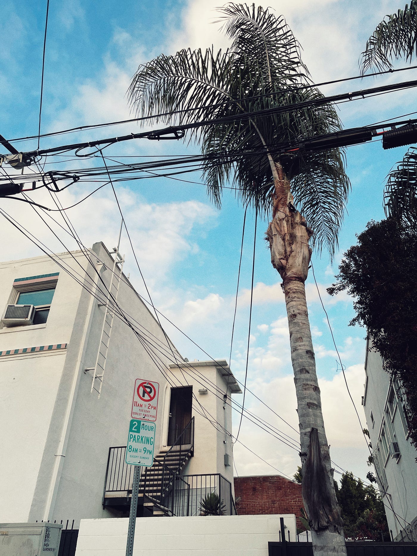 Electric wires, a palm tree, white walls and fire escape of a Los Angeles apartment building, a street parking sign shot against a blue sky with partial clouds.