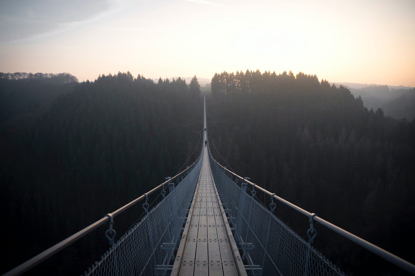 A narrow bridge, viewed from one end, over a thick forest.