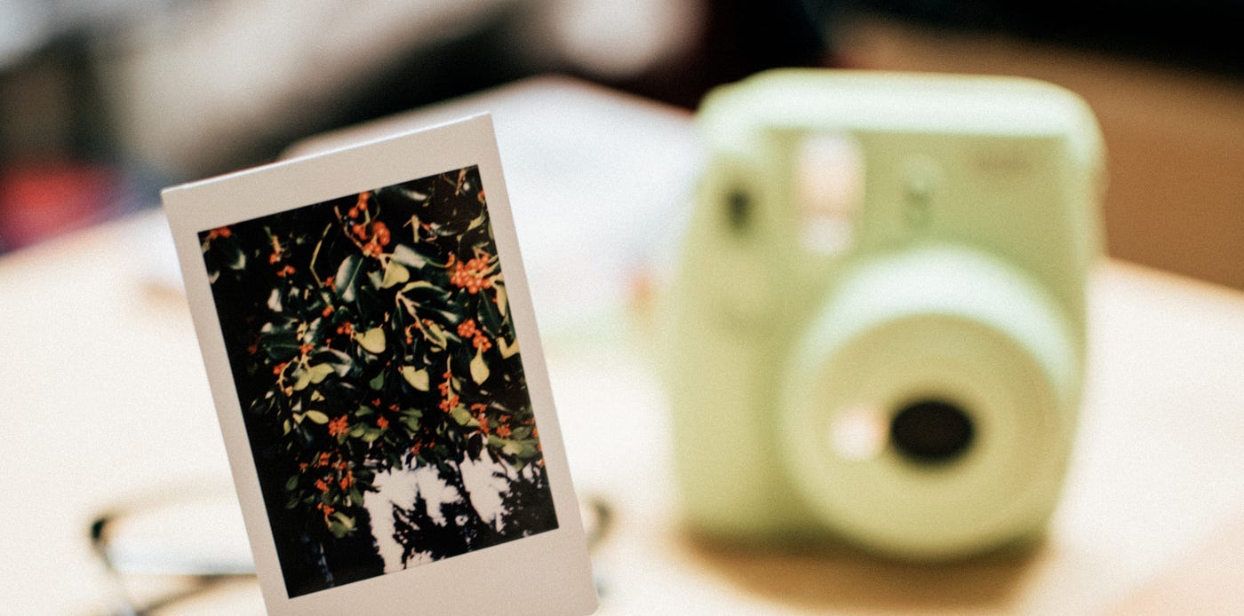 Finding Duplicate Images with Python | by Elise Landman | Towards Data  Science