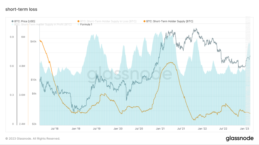 温茶煮酒，醉卧蓬莱｜WTR 2.20