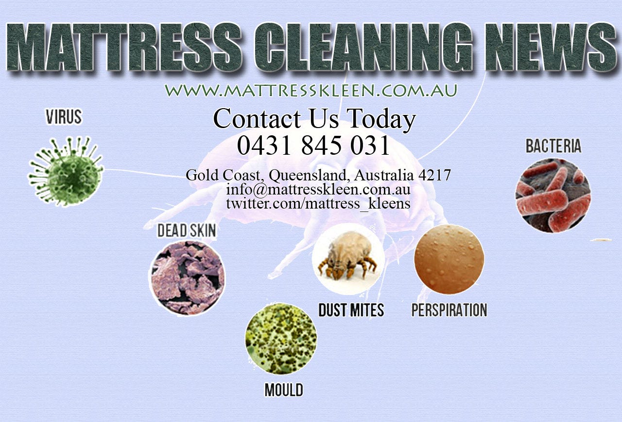 How to Kill Dust Mites and Protection From it by Elligett Medium