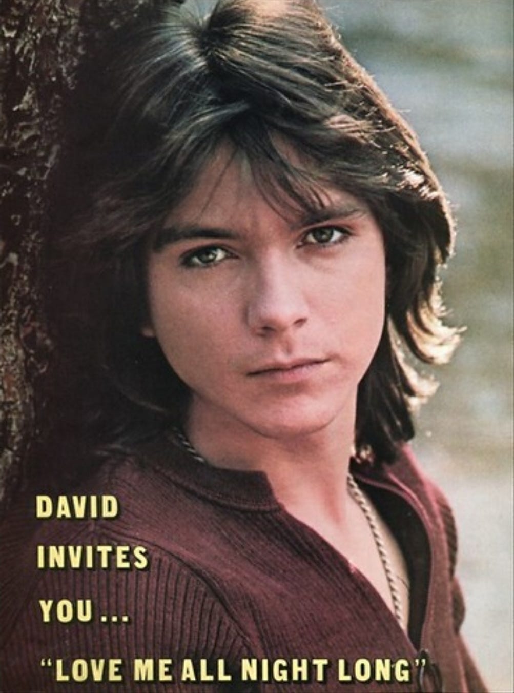 Top Six 70s Boy Bands/Teen Idols. Cue prepubescent screeching | by Kathy  Copeland Padden | Rock n' Heavy